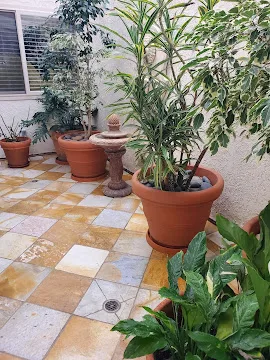 Clean epoxy garage floor coating after concrete preparation